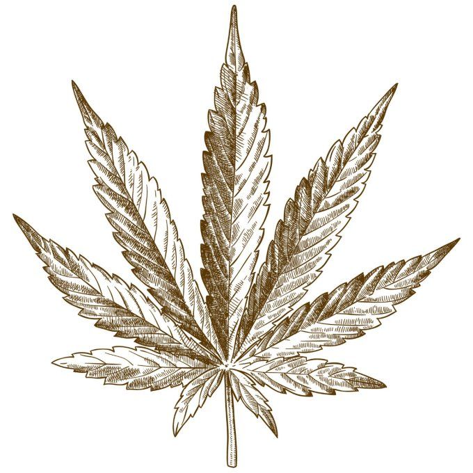 Trim Bio